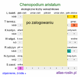 ekologiczne liczby wskaźnikowe Chenopodium aristatum (komosa oścista)
