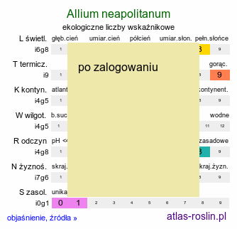 ekologiczne liczby wskaźnikowe Allium neapolitanum (czosnek neapolitański)