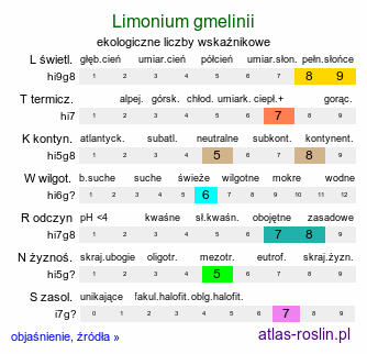 ekologiczne liczby wskaźnikowe Limonium gmelinii (zatrwian Gmelina)