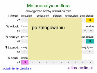 ekologiczne liczby wskaźnikowe Melanocalyx uniflora