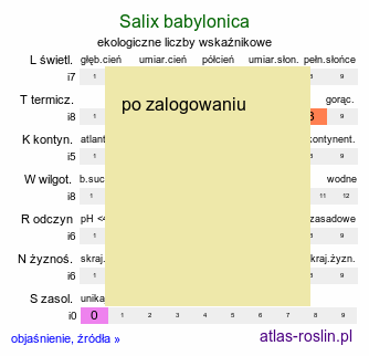 ekologiczne liczby wskaźnikowe Salix babylonica (wierzba babilońska)