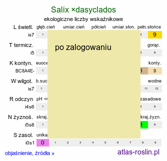 ekologiczne liczby wskaźnikowe Salix ×dasyclados (wierzba długokończysta)