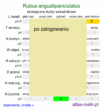 ekologiczne liczby wskaźnikowe Rubus angustipaniculatus (jeżyna rombolistna)