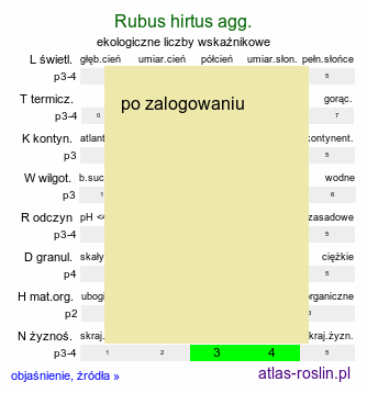 ekologiczne liczby wskaźnikowe Rubus hirtus agg. (jeżyna gruczołowata)