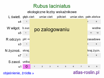 ekologiczne liczby wskaźnikowe Rubus laciniatus (jeżyna wcinanolistna)