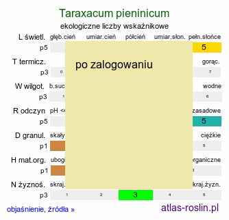 ekologiczne liczby wskaźnikowe Taraxacum pieninicum (mniszek pieniński)