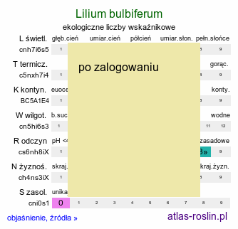 ekologiczne liczby wskaźnikowe Lilium bulbiferum (lilia bulwkowata)