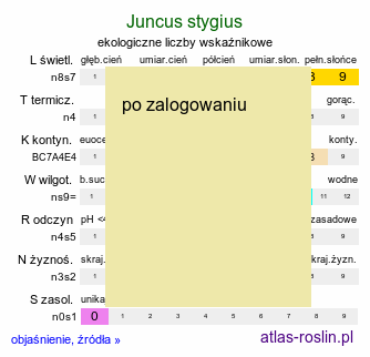 ekologiczne liczby wskaźnikowe Juncus stygius (sit torfowy)