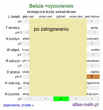 ekologiczne liczby wskaźnikowe Betula ×oycoviensis (brzoza ojcowska)