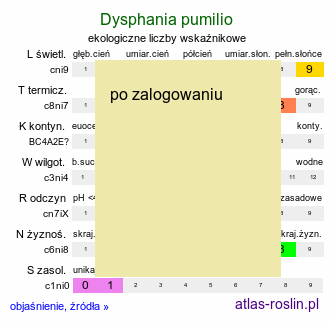 ekologiczne liczby wskaźnikowe Dysphania pumilio (komosa australijska)
