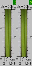 Poa remota (wiechlina odległokłosa)