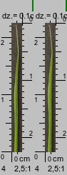 Poa remota (wiechlina odległokłosa)