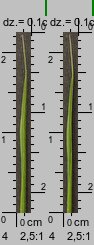 Poa remota (wiechlina odległokłosa)