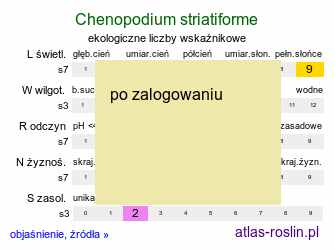 ekologiczne liczby wskaźnikowe Chenopodium striatiforme (komosa drobnolistna)