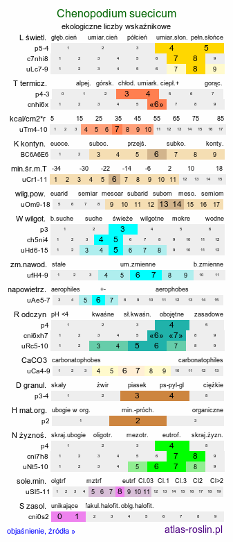 ekologiczne liczby wskaźnikowe Chenopodium suecicum (komosa zielona)
