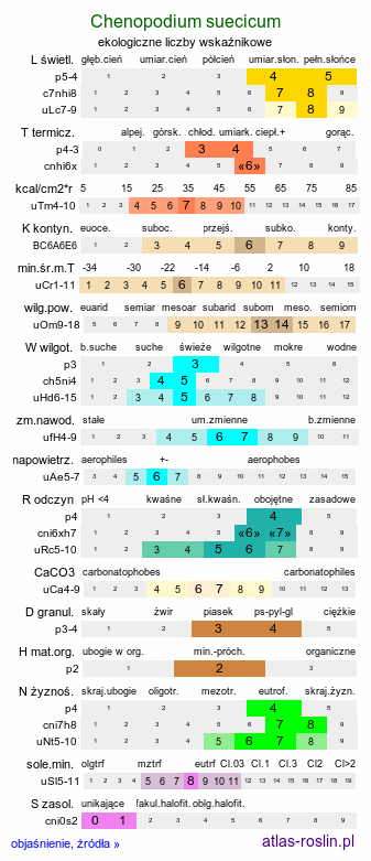 ekologiczne liczby wskaźnikowe Chenopodium suecicum (komosa zielona)