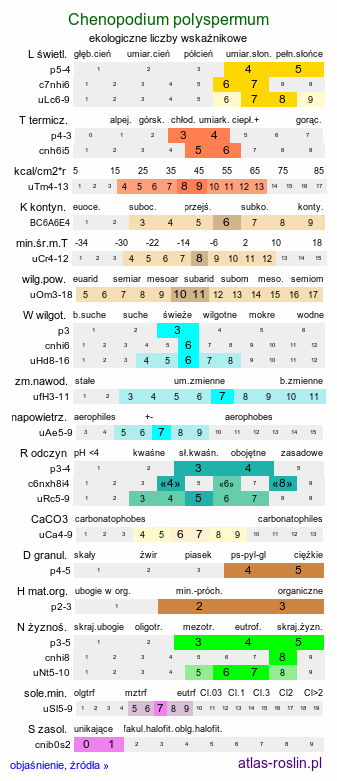 ekologiczne liczby wskaźnikowe Chenopodium polyspermum (komosa wielonasienna)