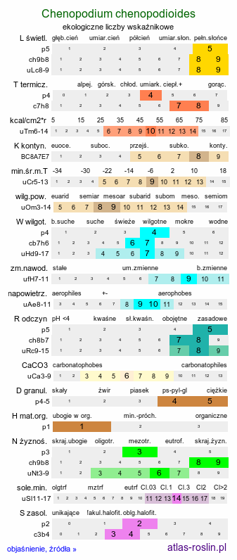 ekologiczne liczby wskaźnikowe Chenopodium botryodes (komosa solniskowa)