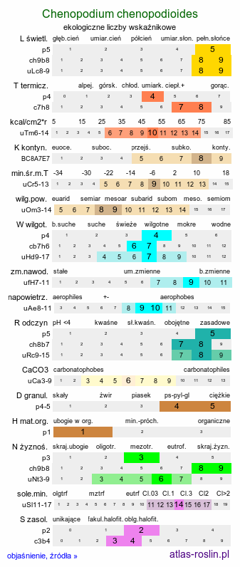 ekologiczne liczby wskaźnikowe Chenopodium chenopodioides (komosa solniskowa)
