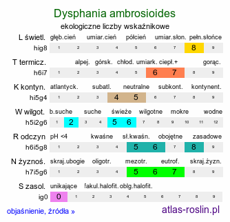 ekologiczne liczby wskaźnikowe Dysphania ambrosioides (komosa piżmowa)