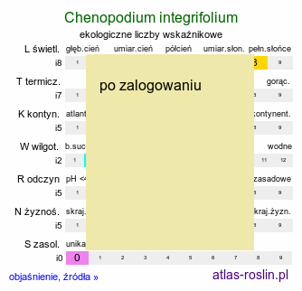 ekologiczne liczby wskaźnikowe Chenopodium integrifolium