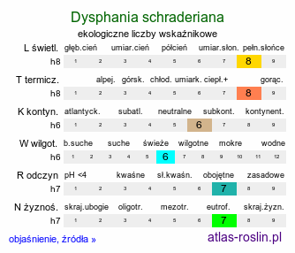 ekologiczne liczby wskaźnikowe Dysphania schraderiana (komosa śmierdząca)