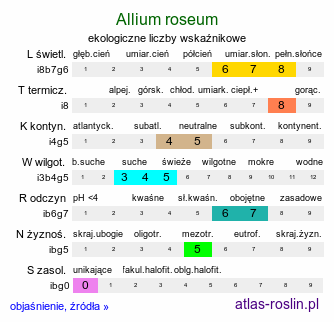 ekologiczne liczby wskaźnikowe Allium roseum (czosnek różowy)