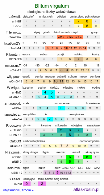 ekologiczne liczby wskaźnikowe Blitum virgatum (komosa rózgowa)