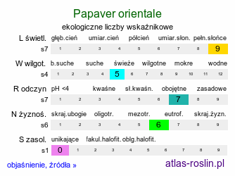 ekologiczne liczby wskaźnikowe Papaver orientale (mak wschodni (ogr.))