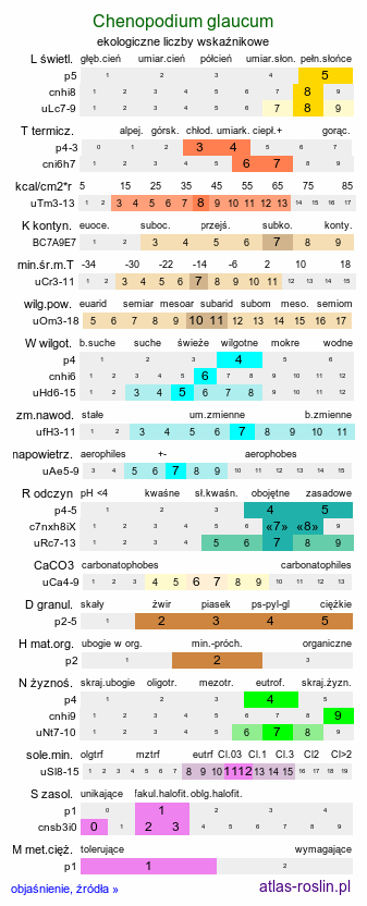 ekologiczne liczby wskaźnikowe Chenopodium glaucum (komosa sina)