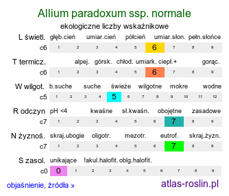 ekologiczne liczby wskaźnikowe Allium paradoxum var. normale