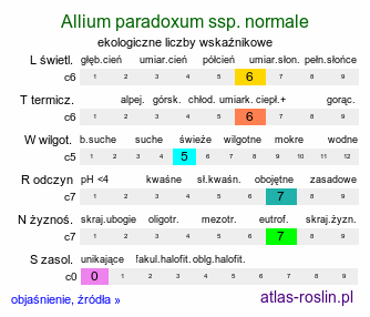 ekologiczne liczby wskaźnikowe Allium paradoxum ssp. normale