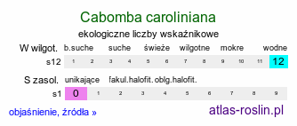 ekologiczne liczby wskaÅºnikowe Cabomba caroliniana (kabomba karoliÅ„ska)