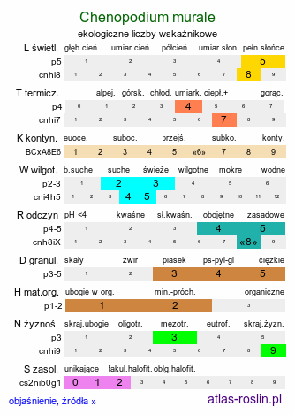 ekologiczne liczby wskaźnikowe Chenopodium murale (komosa murowa)