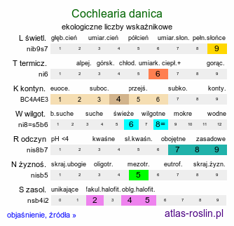 ekologiczne liczby wskaźnikowe Cochlearia danica (warzucha duńska)