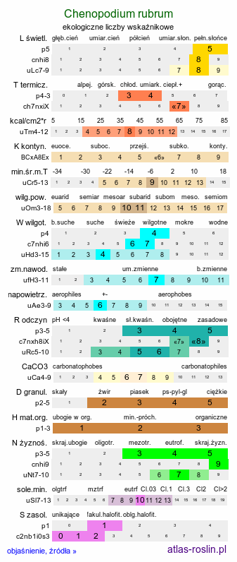 ekologiczne liczby wskaźnikowe Chenopodium rubrum (komosa czerwonawa)