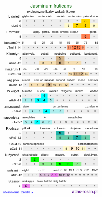 ekologiczne liczby wskaźnikowe Jasminum fruticans (jaśmin krzewiasty)
