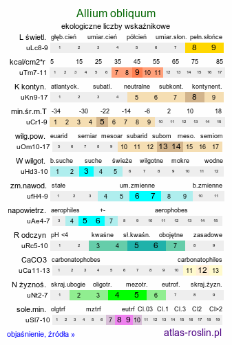 ekologiczne liczby wskaźnikowe Allium obliquum (czosnek ukośny)