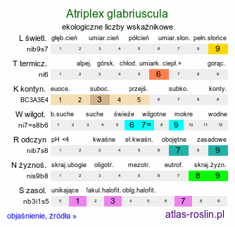 ekologiczne liczby wskaźnikowe Atriplex glabriuscula (łoboda nadmorska)