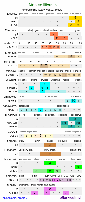 ekologiczne liczby wskaźnikowe Atriplex littoralis (łoboda nadbrzeżna)