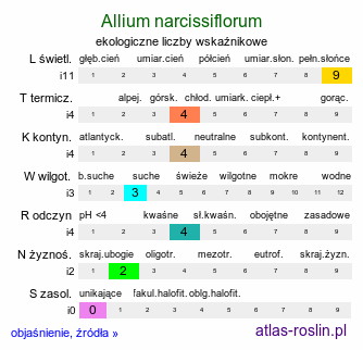 ekologiczne liczby wskaźnikowe Allium narcissiflorum (czosnek narcyzowy)