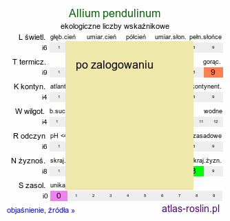 ekologiczne liczby wskaźnikowe Allium pendulinum