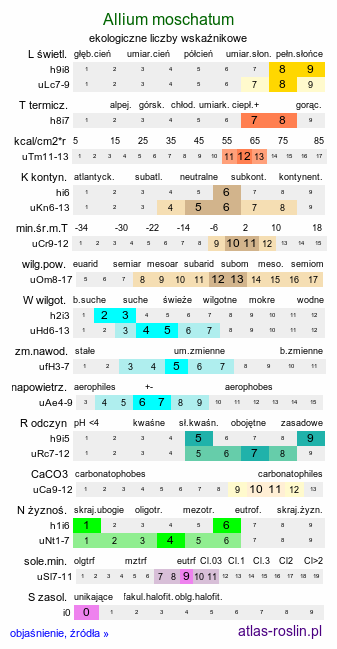 ekologiczne liczby wskaźnikowe Allium moschatum
