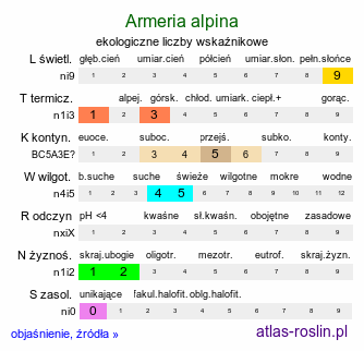 ekologiczne liczby wskaźnikowe Armeria alpina (zawciąg alpejski)