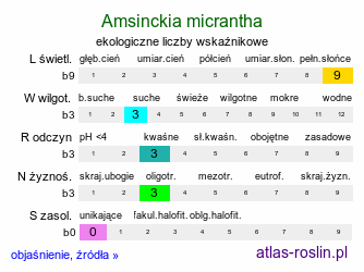 ekologiczne liczby wskaźnikowe Amsinckia micrantha