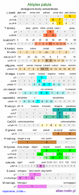 ekologiczne liczby wskaźnikowe Atriplex patula (łoboda rozłożysta)