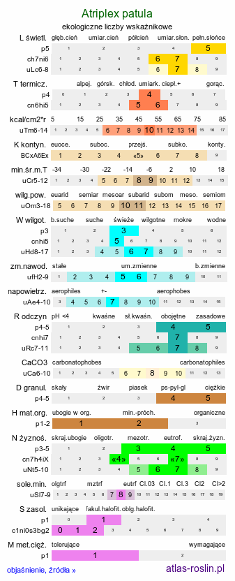 ekologiczne liczby wskaźnikowe Atriplex patula (łoboda rozłożysta)