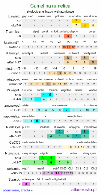 ekologiczne liczby wskaźnikowe Camelina rumelica (lnicznik rumelijski)