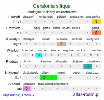 ekologiczne liczby wskaźnikowe Ceratonia siliqua (szarańczyn strąkowy)