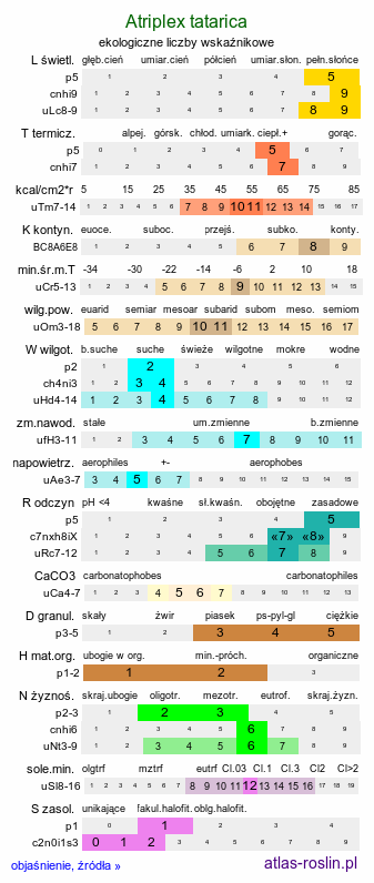 ekologiczne liczby wskaźnikowe Atriplex tatarica (łoboda szara)